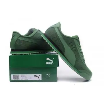 puma-graphic-jpg