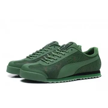 puma-graphic-3-jpg