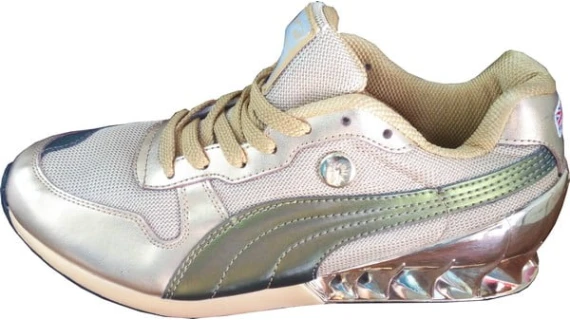 pumagreygold1-jpg