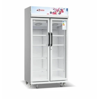 astech-vitrine-2-portes-fv740dd