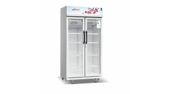astech-vitrine-2-portes-fv740dd
