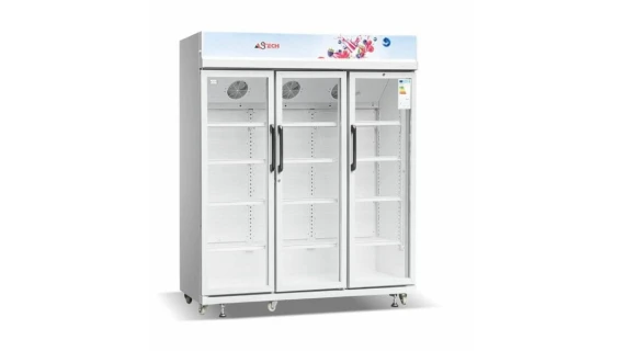 astech-vitrine-3-portes-fv1600td
