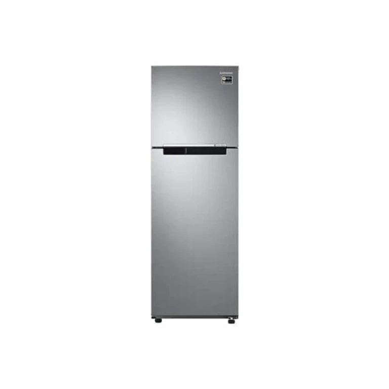 Réfrigérateur Samsung 2 portes 256 L Compresseur Inverter