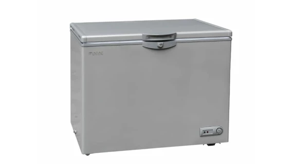 Congelateur Finix Horizontal 300 L avec vitre Silver – Image 3