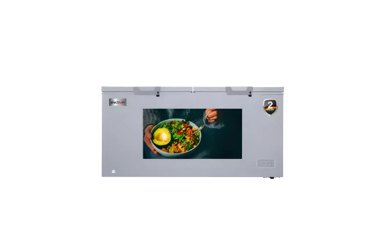 Congélateur Elactron Horizontal 750 Litres Silver
