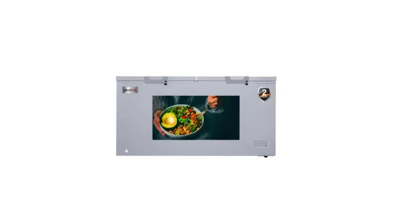 Congélateur Elactron Horizontal 750 Litres Silver