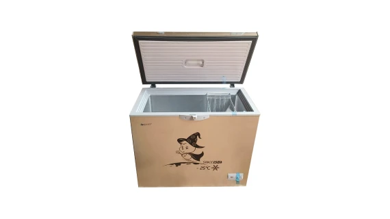 Congelateur Snowsea 300 Litres Gold BD-258G