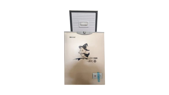 Congelateur Snowsea 190 Litres Gold BD-158G
