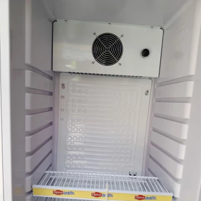 Réfrigérateur Shark 208 Litres 1Porte  Vitrine CRF-460NF – Image 6