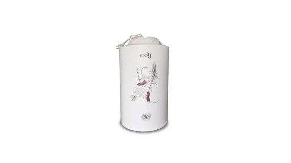 Chauffe eau ELECTRIQUE ROCH 30 Litres RWH 30V15