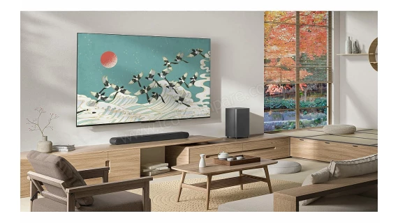 Téléviseur TLC  98" pouces 4K HDR 98P745 – Image 9