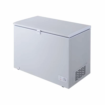 Congélateur LG Horizontal 280 litres Silver GCS315SQFG – Image 6