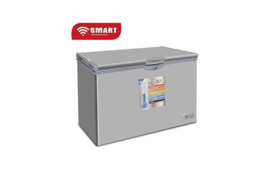 Congélateur Smart Technology Horizontal 300 litres Brut Silver STCC-275