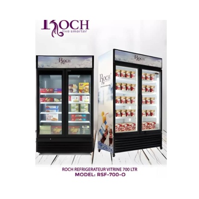 Réfrigérateur ROCH VERTICAL vitrine 700 litres 2 portes RSF-700SE-0