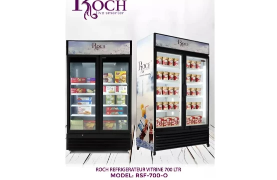 Réfrigérateur ROCH VERTICAL vitrine 700 litres 2 portes RSF-700SE-0