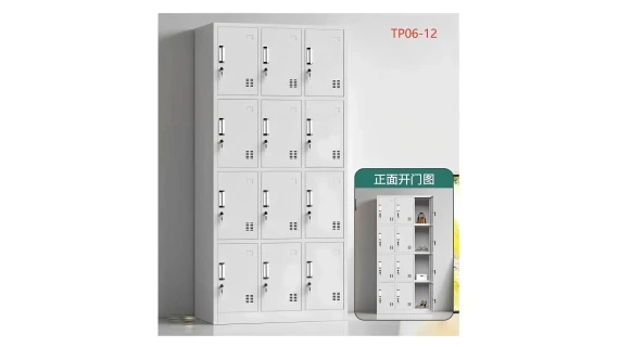 Armoire Vestiaire 12 Portes TP06-12