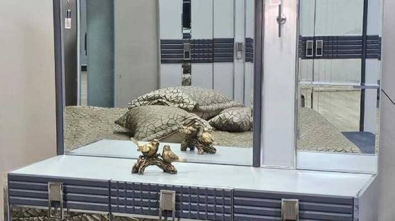 Chambre à Coucher Armoire Eftelya 6 battants 6 pièces Gris – Image 3