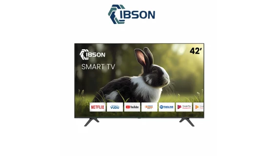 Téléviseur IBSON 42" Smart Android IB42FT1002S