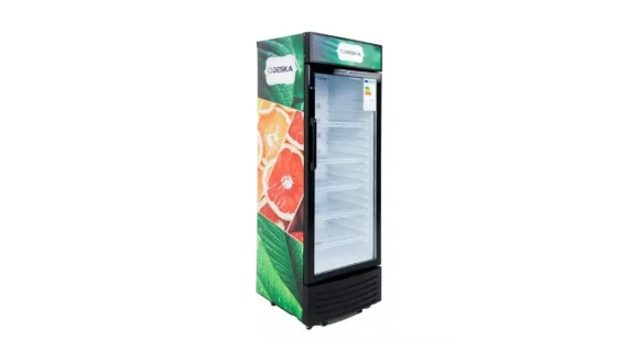 Réfrigérateur DESKA Vitrine RSC-513DK