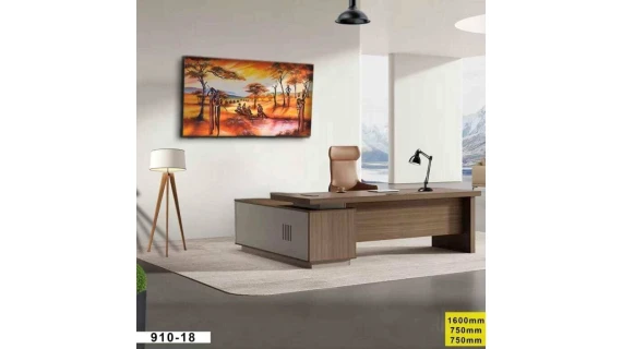 Table Bureau Professionnelle 1,60M – Réf. 910-18