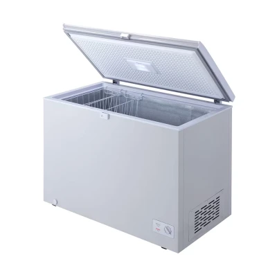 Congélateur LG Horizontal 300L GCS315SQFG  - Gris – Image 4