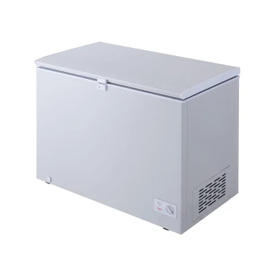 Congélateur LG Horizontal 300L GCS315SQFG  - Gris – Image 6