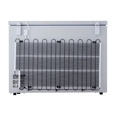 Congélateur LG Horizontal 300L GCS315SQFG  - Gris – Image 11