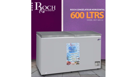 Congélateur Horizontal ROCH RCF600G – 600 Litres – 2 Portes – Gris