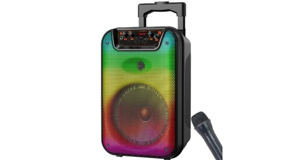 Haut-parleur Bluetooth Portable avec Microphone et Lumières LED