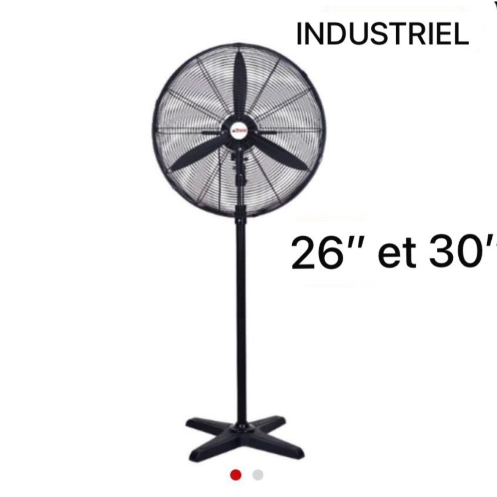Ventilateur ASTECH 30" sur pied en fonctionnement