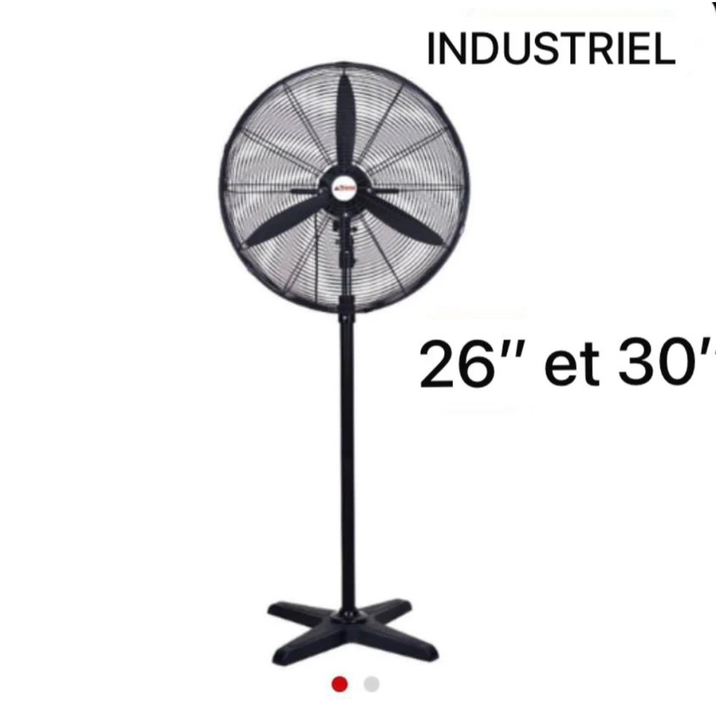 Ventilateur ASTECH 30" sur pied en fonctionnement