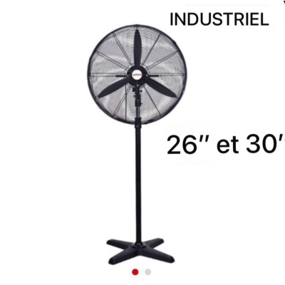 Ventilateur ASTECH 30" sur pied en fonctionnement