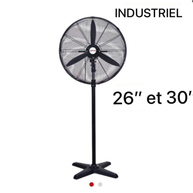 Ventilateur ASTECH 30" sur pied en fonctionnement
