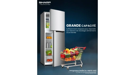 Réfrigérateur SHARP 2 Portes 270L No Frost Gris SJHM270HS2 Classe A+ – Image 3