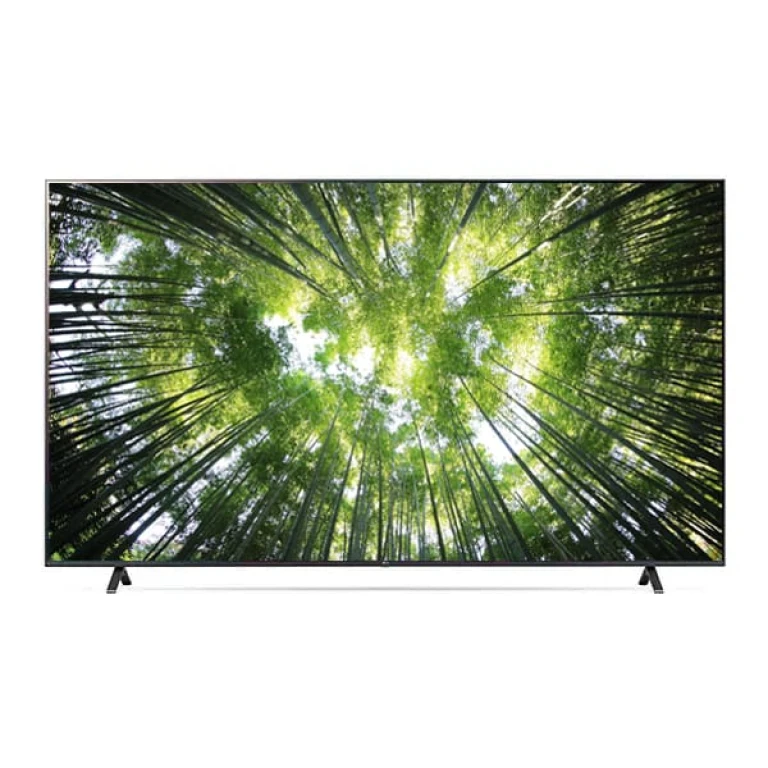 Téléviseur LG 65" 4K UHD 65UR80506LK avec écran immersif et télécommande magique